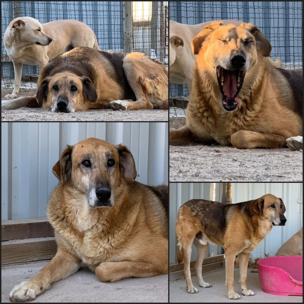 InCollage 20240615 181942566klein