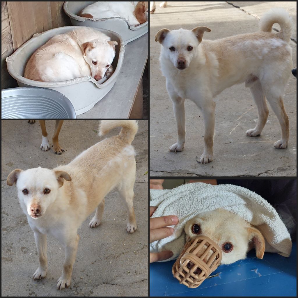 InCollage 20250107 205357692klein