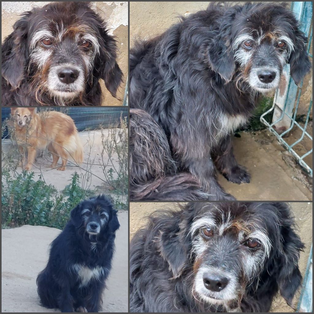 InCollage 20250111 212458518klein