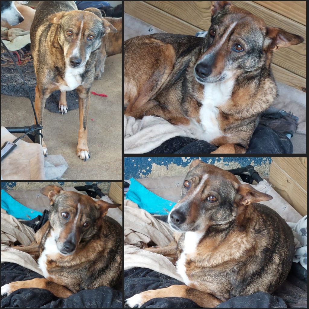 InCollage 20250603 190115597klein