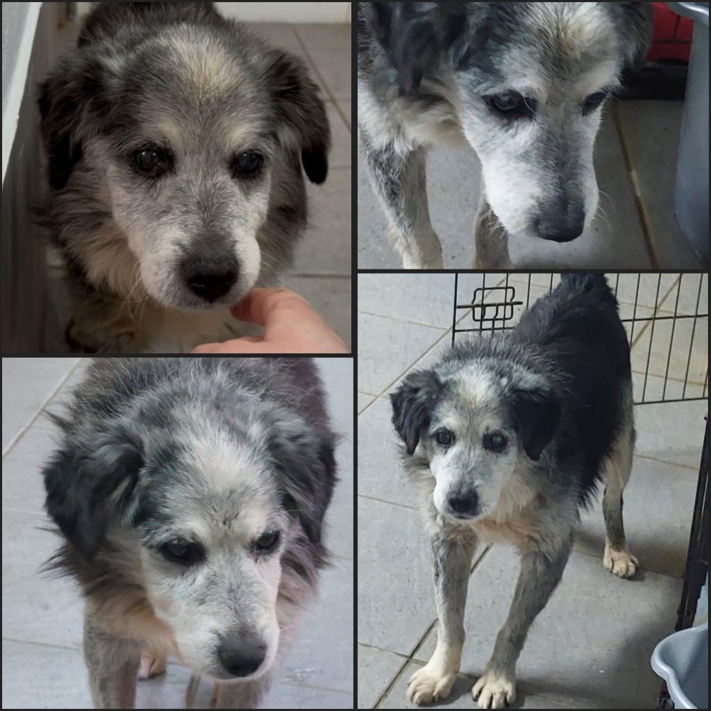 InCollage 20250926 213818232klein