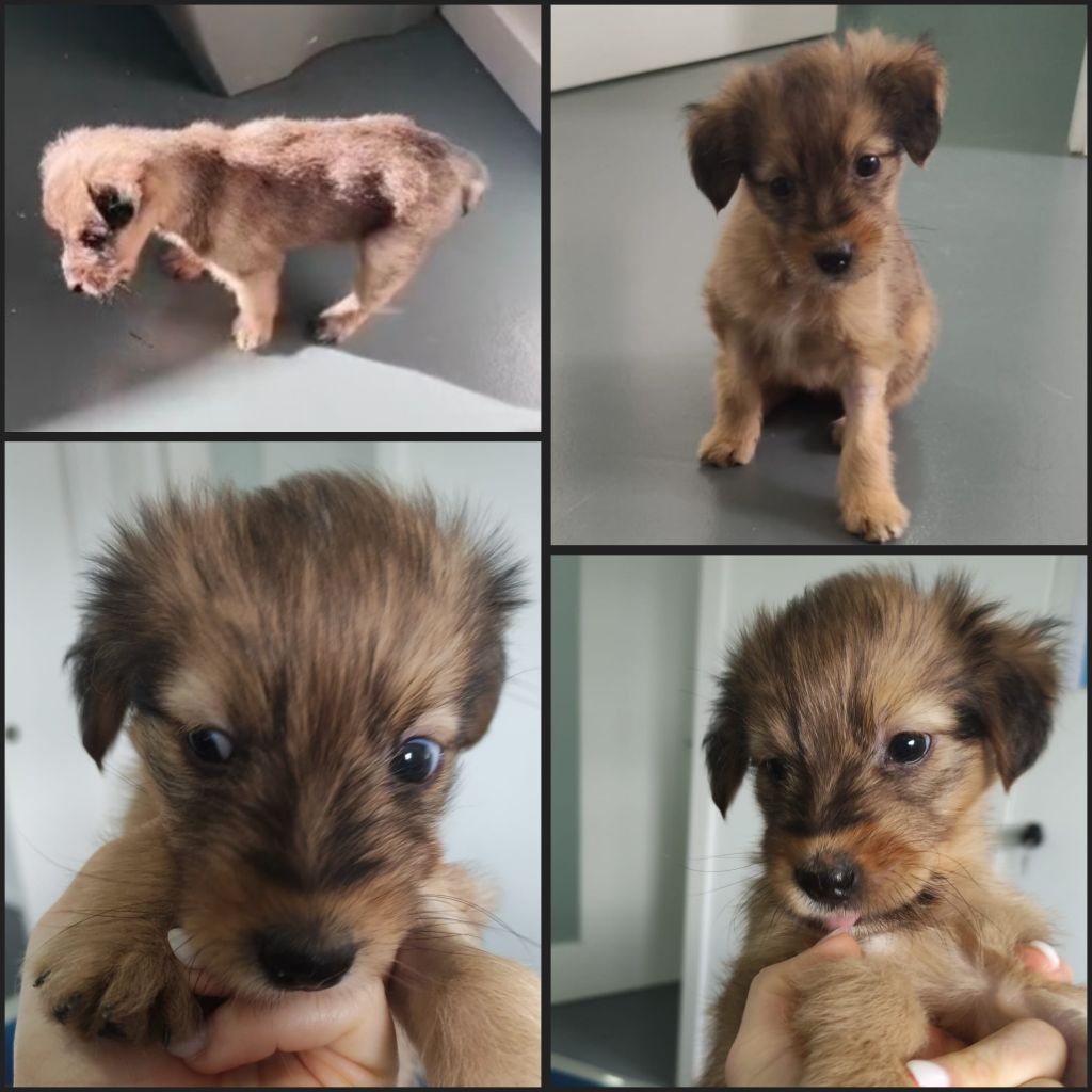 InCollage 20251130 205018479klein