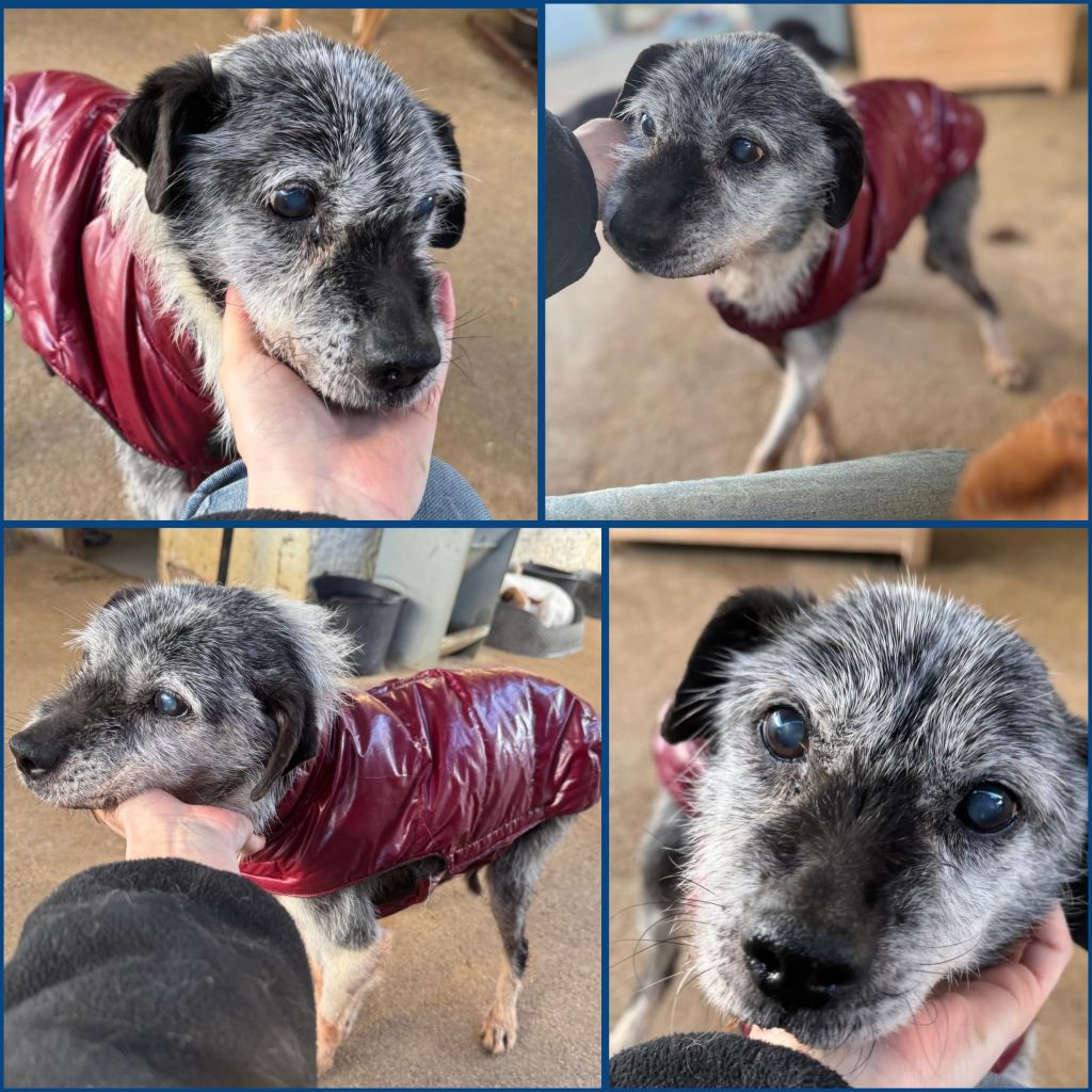 InCollage 20251226 192754029klein