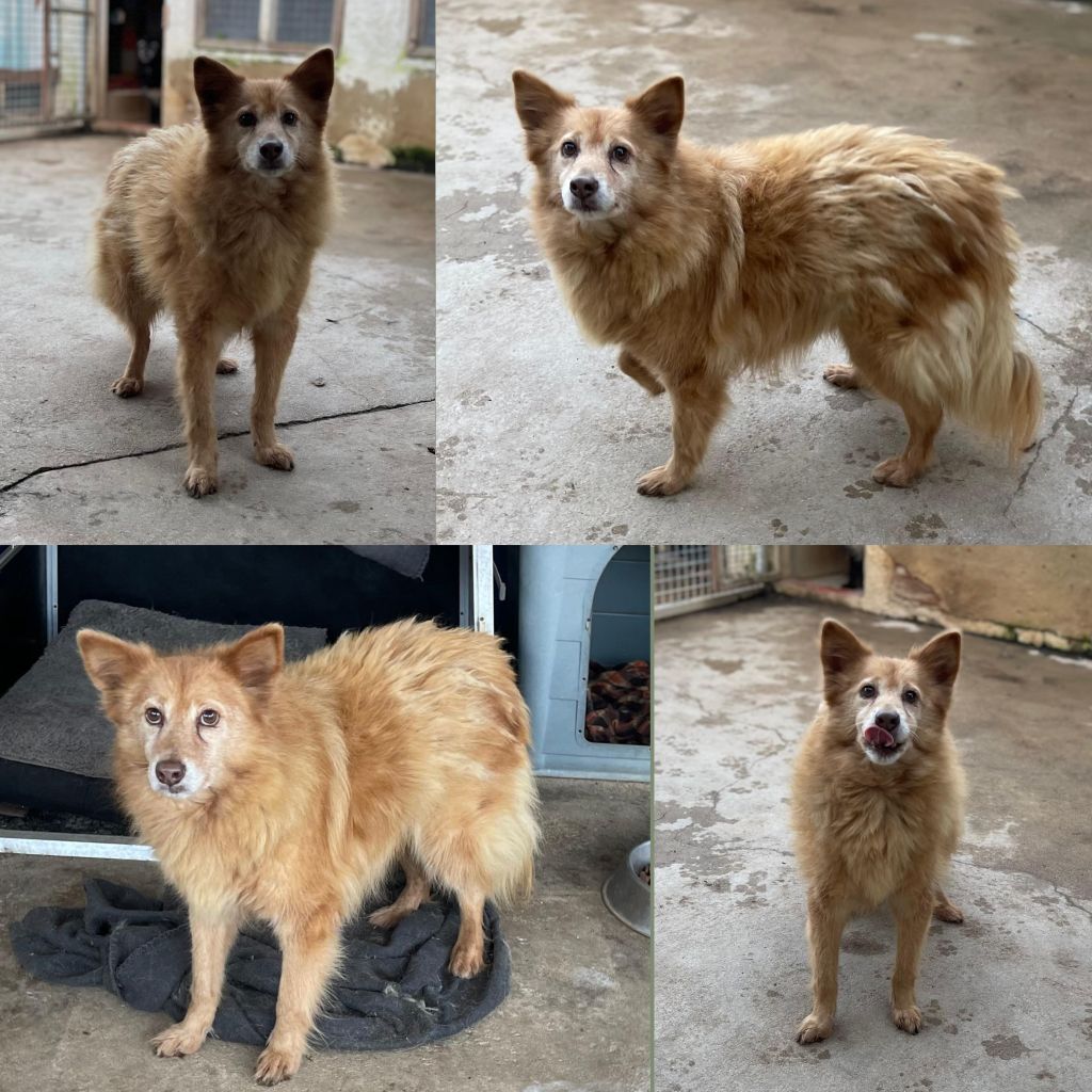 InCollage 20260107 203529885klein