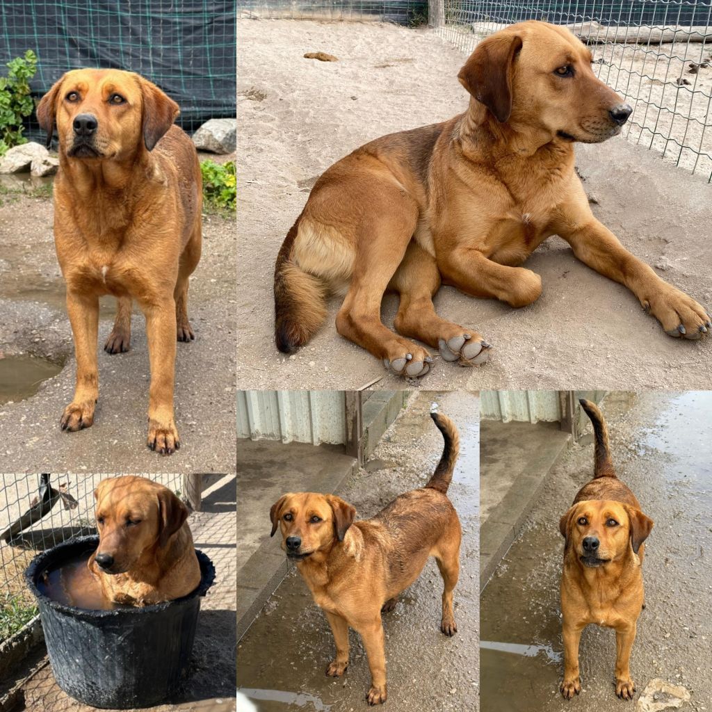 InCollage 20260107 205031121klein