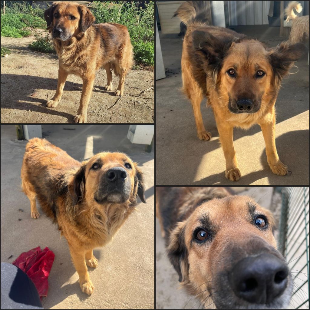 InCollage 20260110 122458703klein