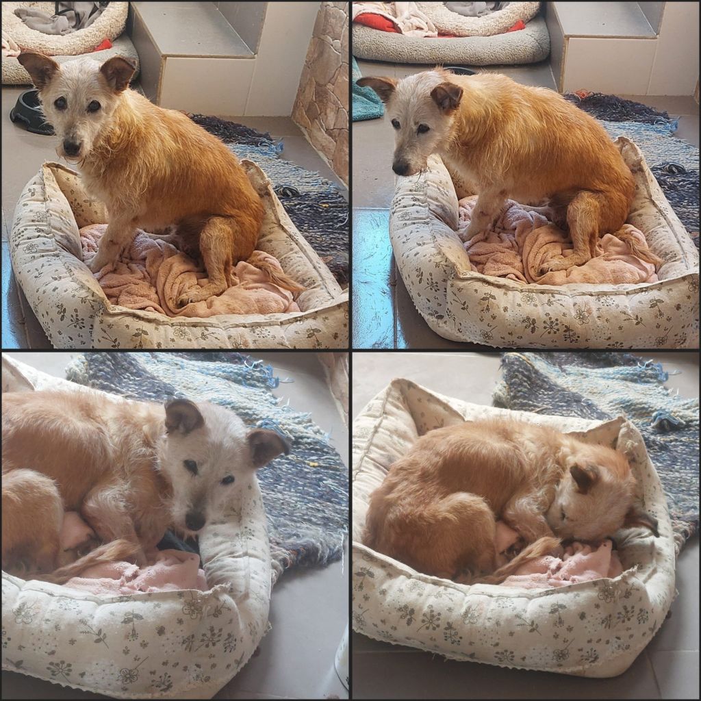 InCollage 20260115 145342409klein