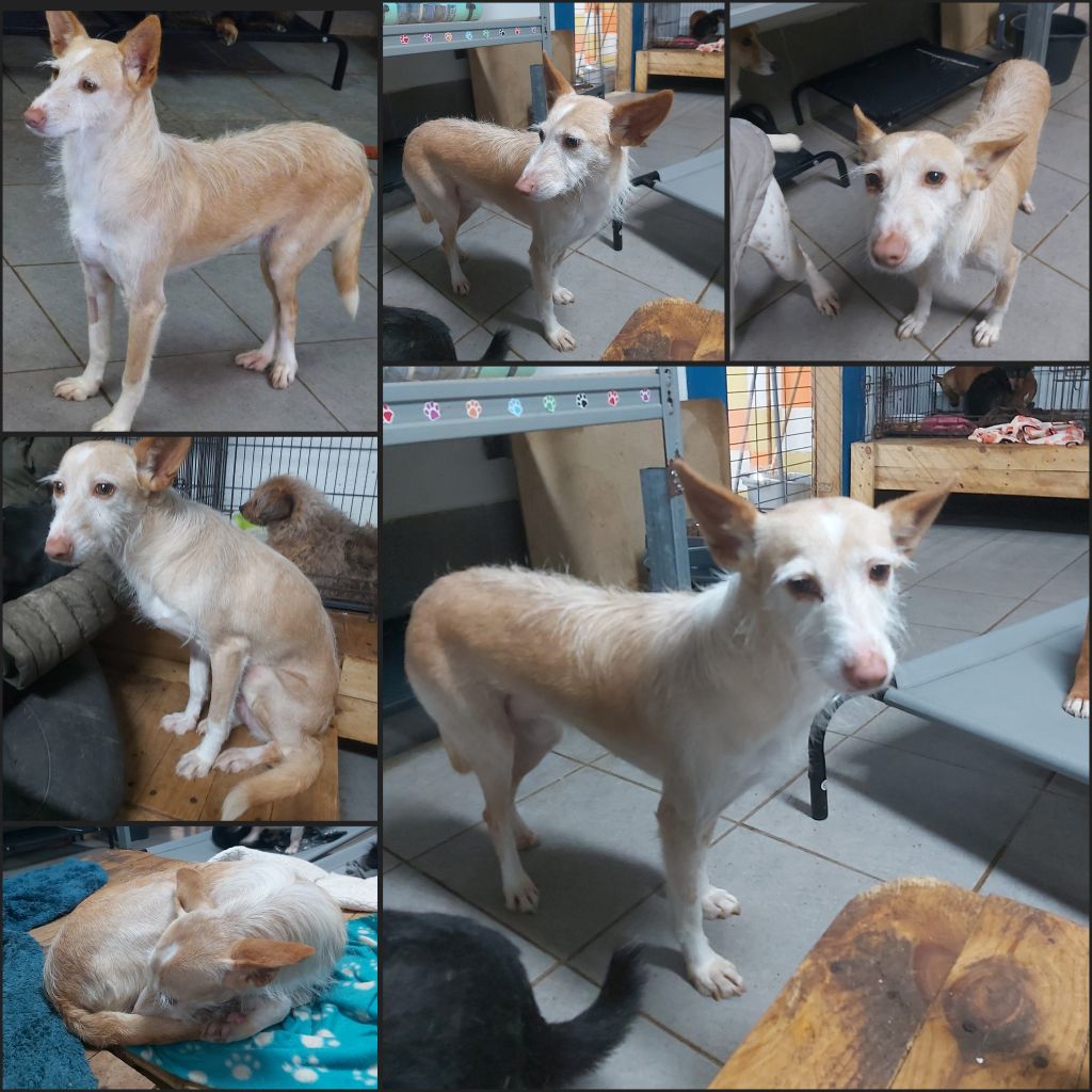 InCollage 20260129 230839261klein