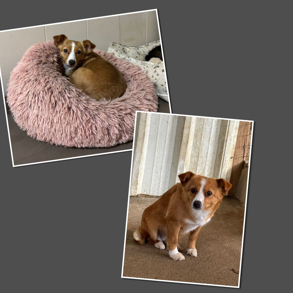 InCollage 20260327 224022461klein