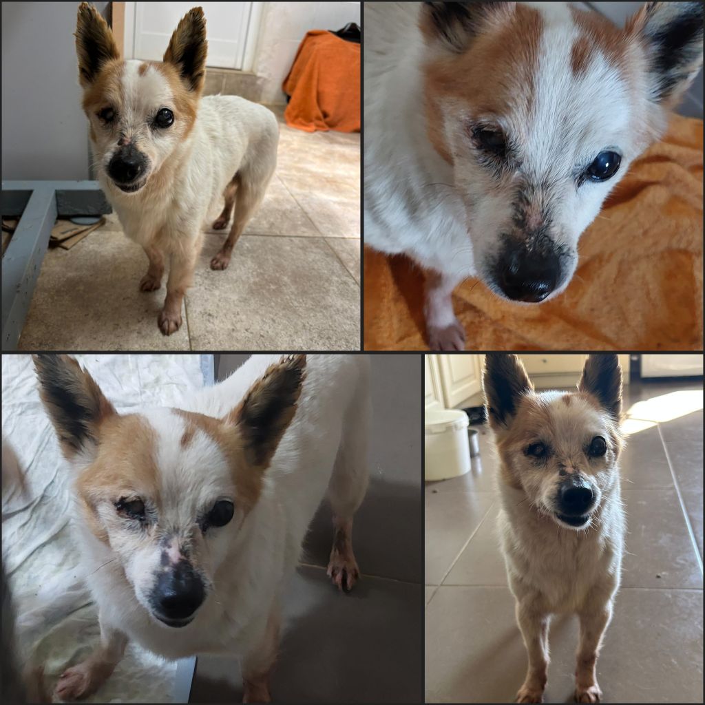 InCollage 20260410 175637876klein