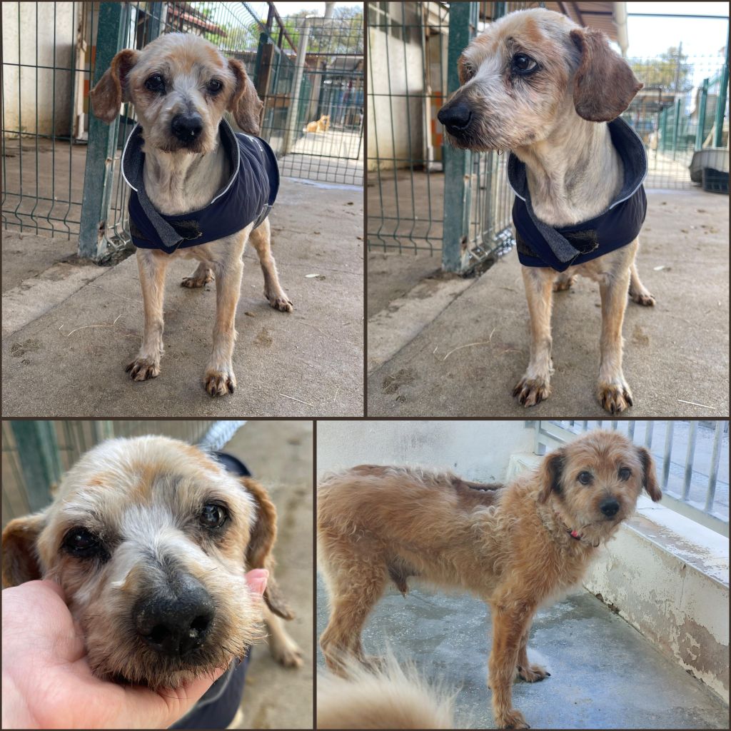 InCollage 20260410 180947795klein