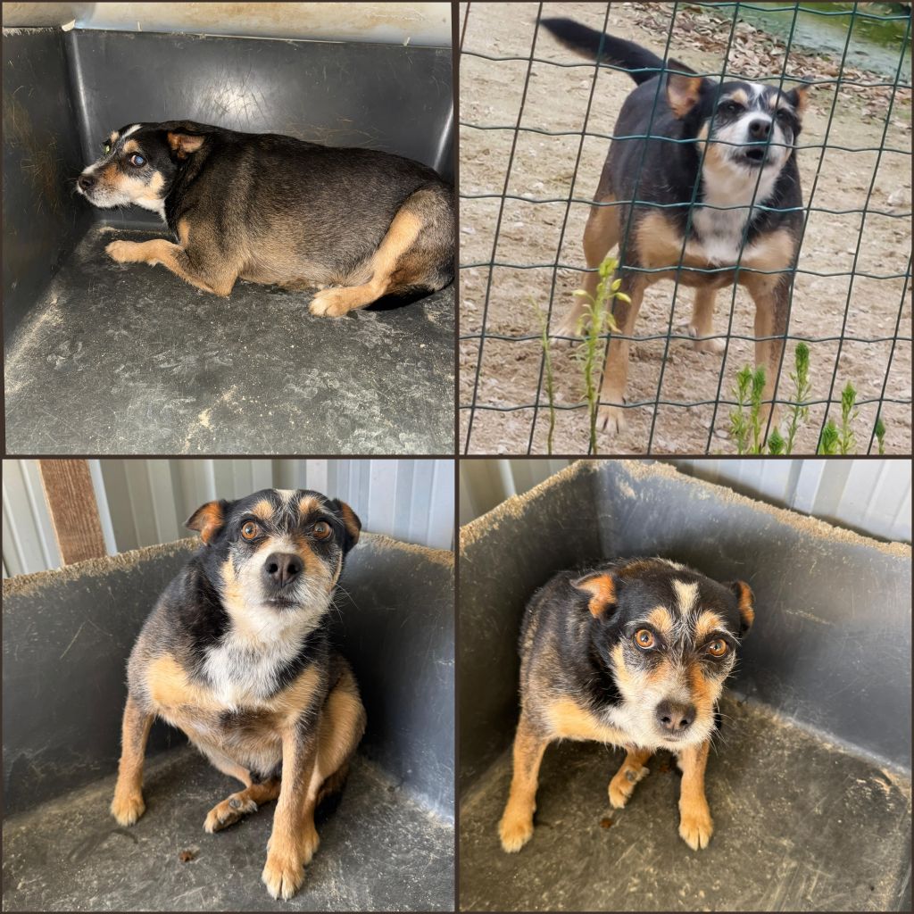 InCollage 20260410 220711878klein