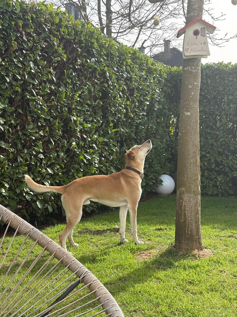 WhatsApp Image 2026 06 07 at 11.25.42 2