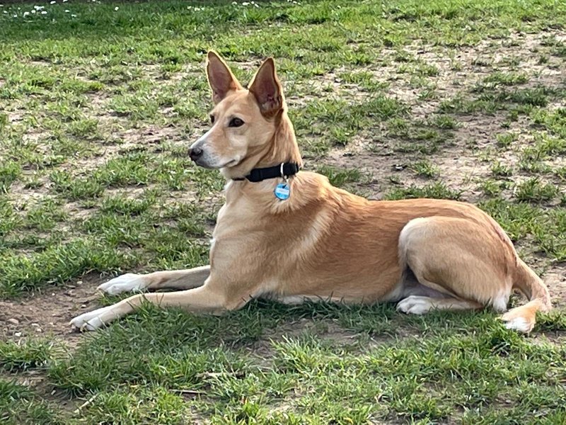 WhatsApp Image 2026 04 17 at 10.15.492